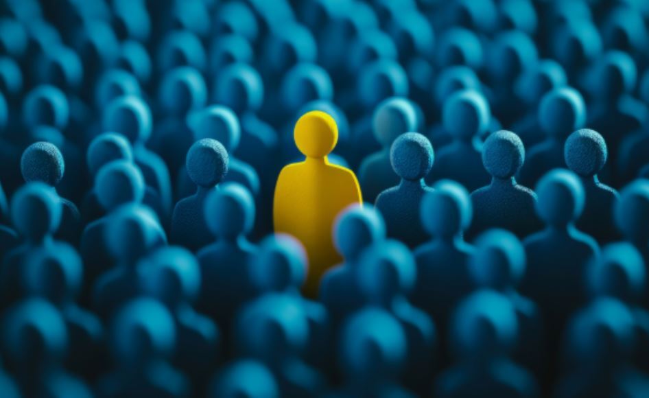 Wise solution for your skills gap resized